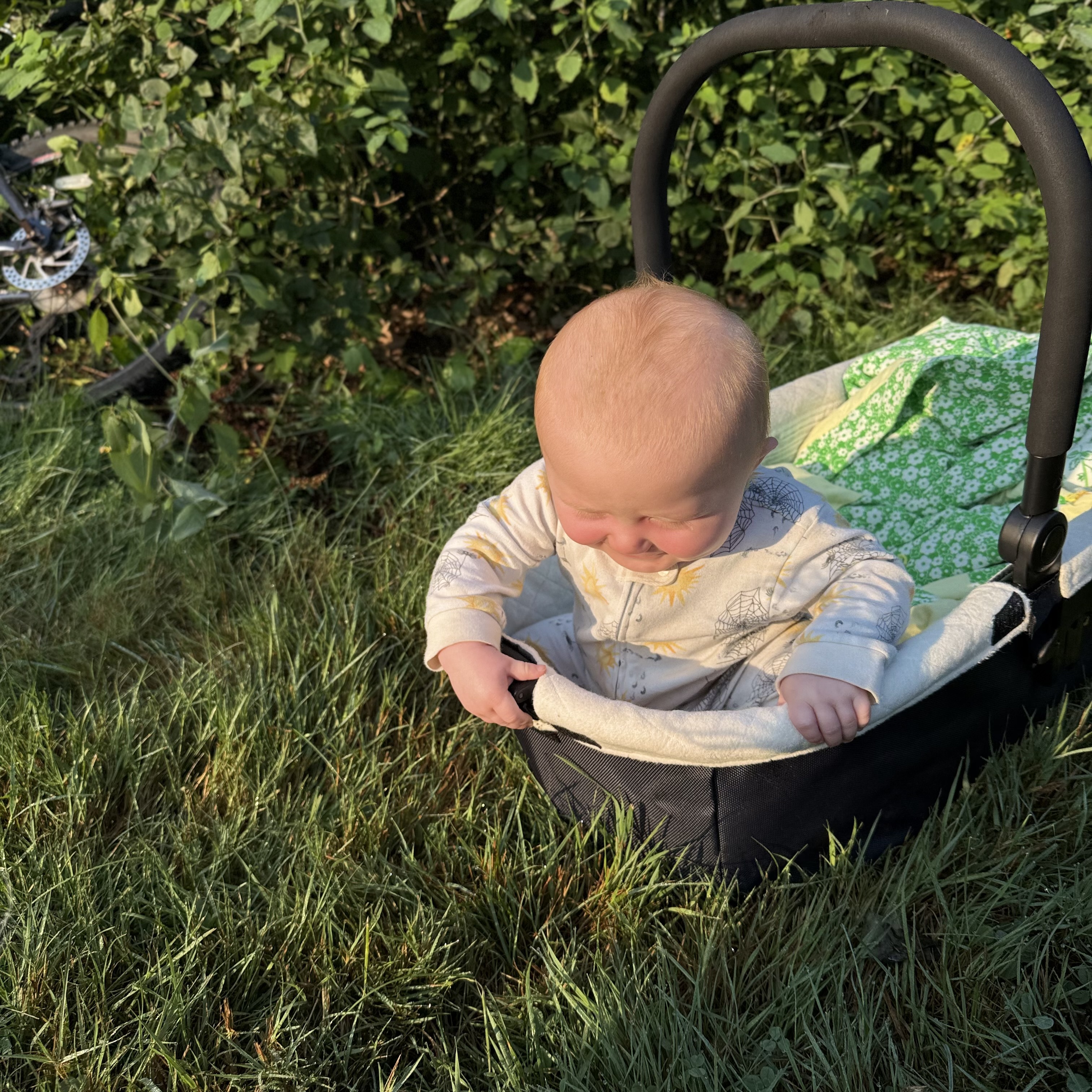 The Nest Nursery
