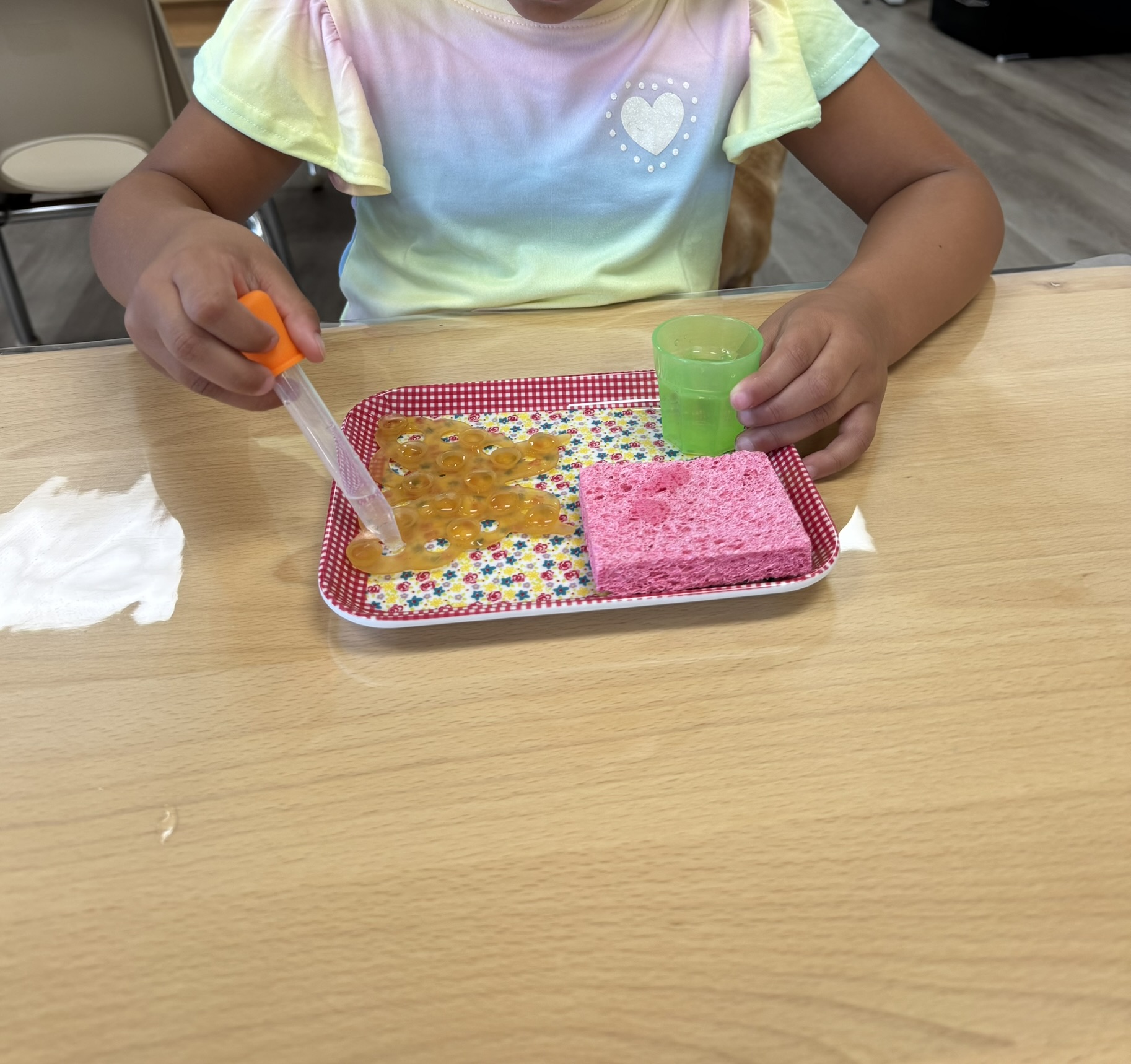 Montessori Magic Key, Inc. DBA: Leaps and Bounds Preschool's Photo