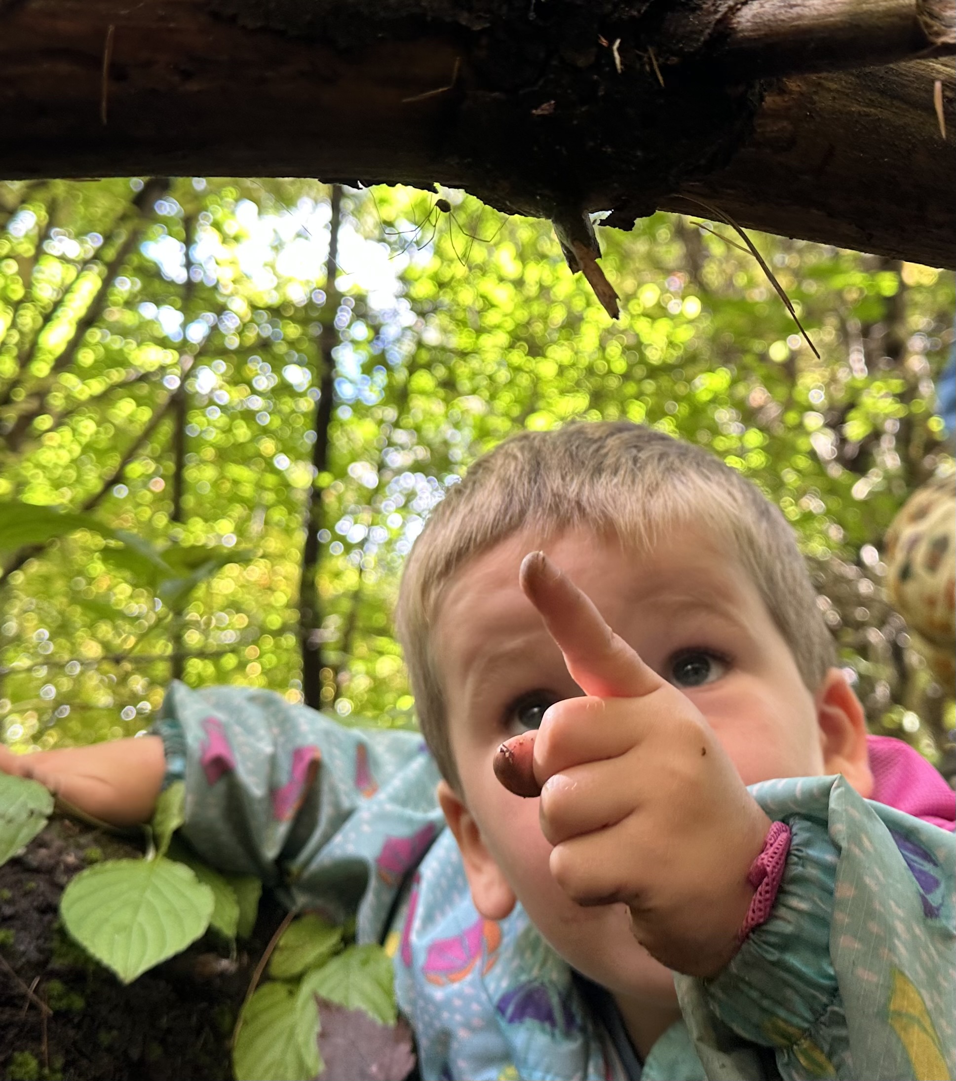 IT'S A CHILD'S WORLD's Photo