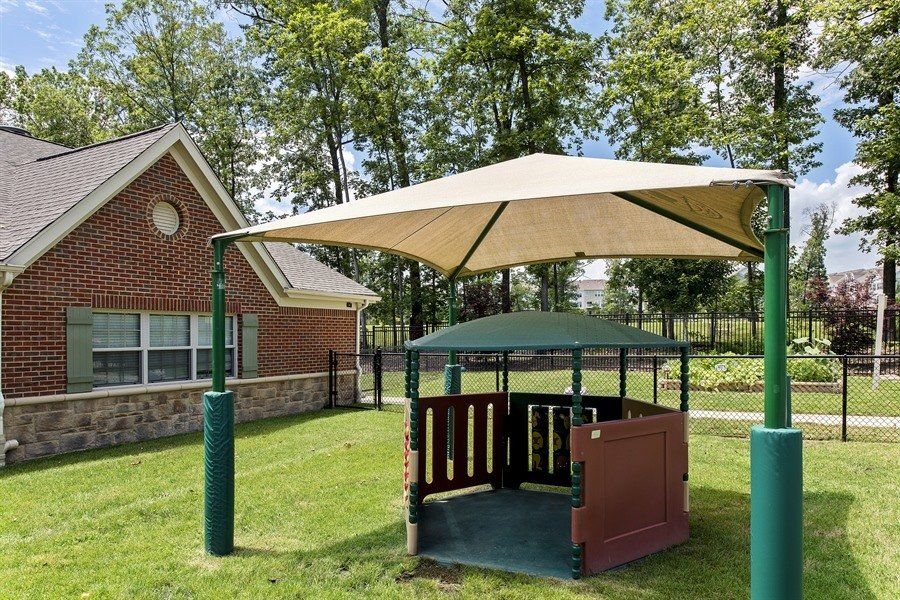 PRIMROSE SCHOOL OF SOUTH RIDING's Photo