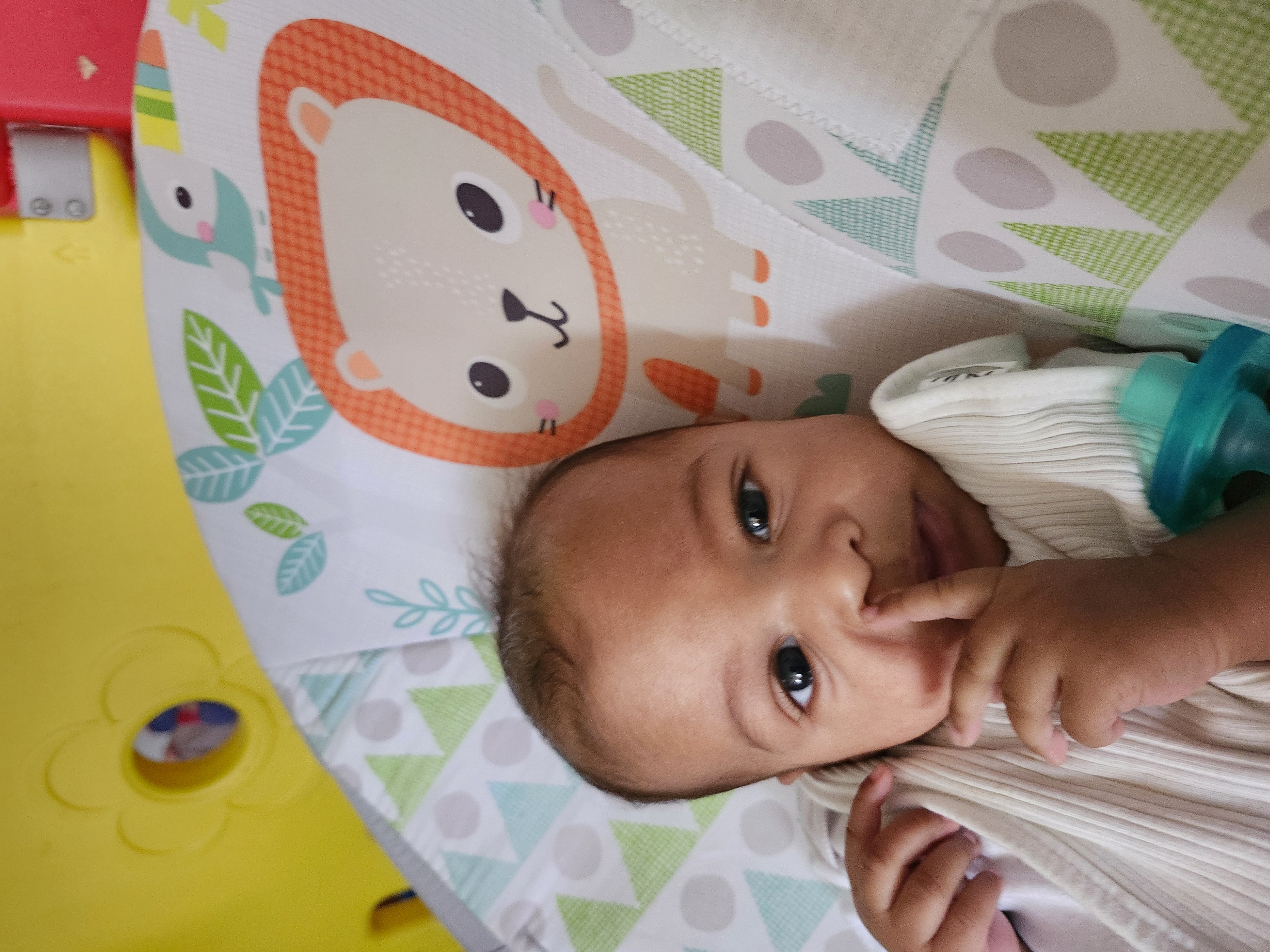 Building Blocks's Photo