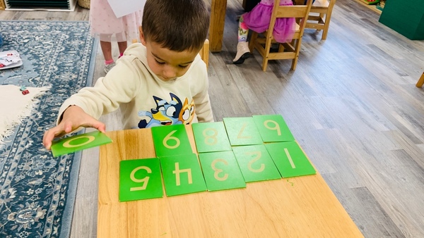 Amici Trilingual Montessori- Ahwatukee 's Photo