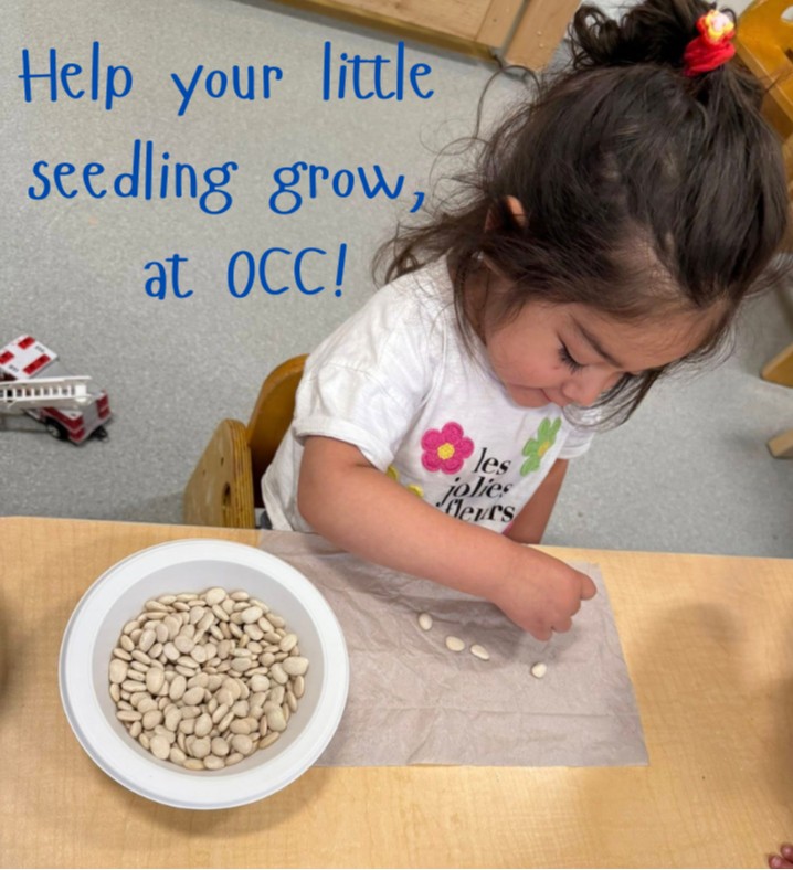 Ossining Children's Center's Photo