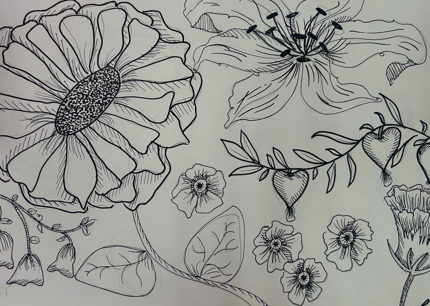 Photo gallery image - 0