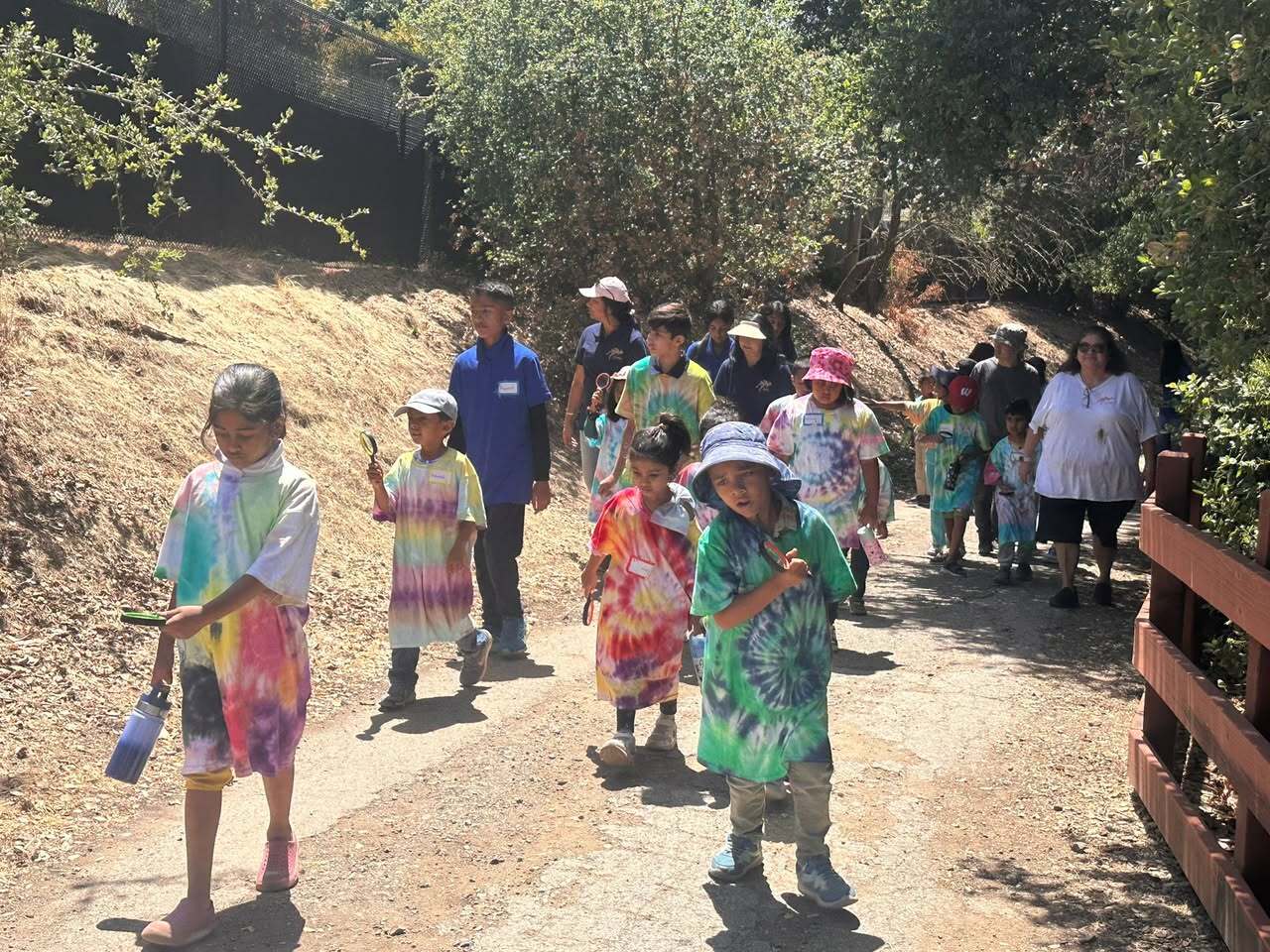 Photo gallery image - 4