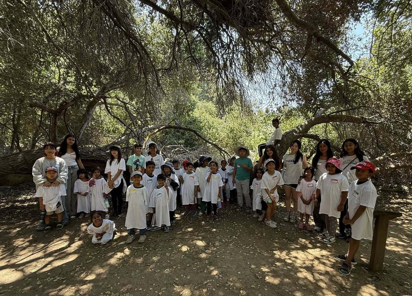 Photo gallery image - 0