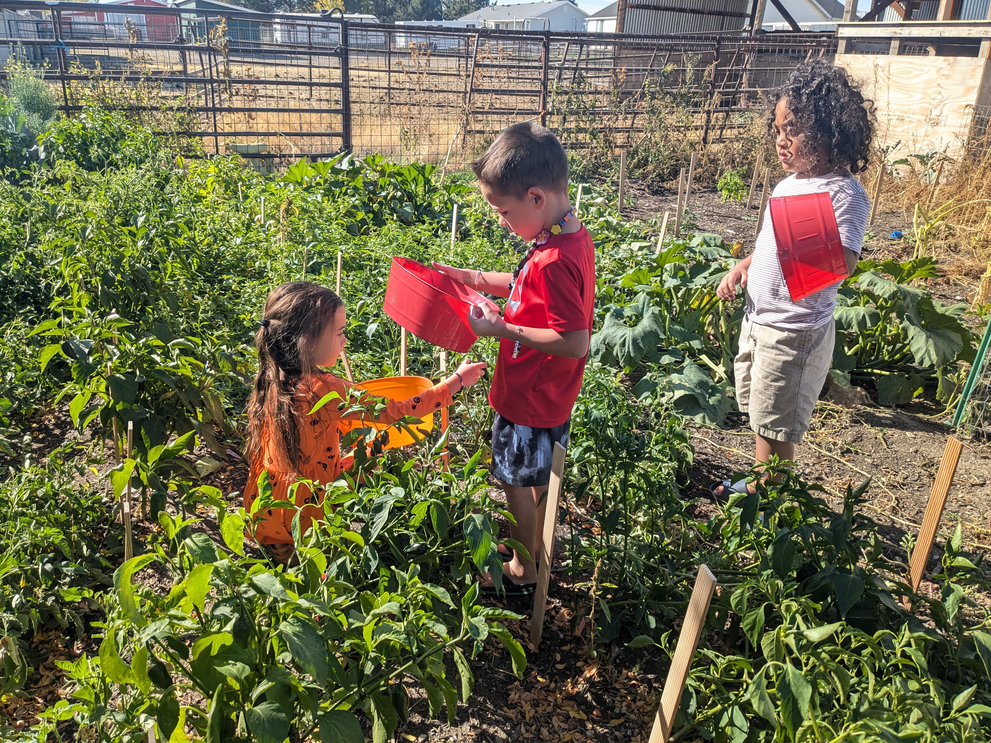 THE LEARNING ADVENTURES ACADEMY OF UTAH's Photo