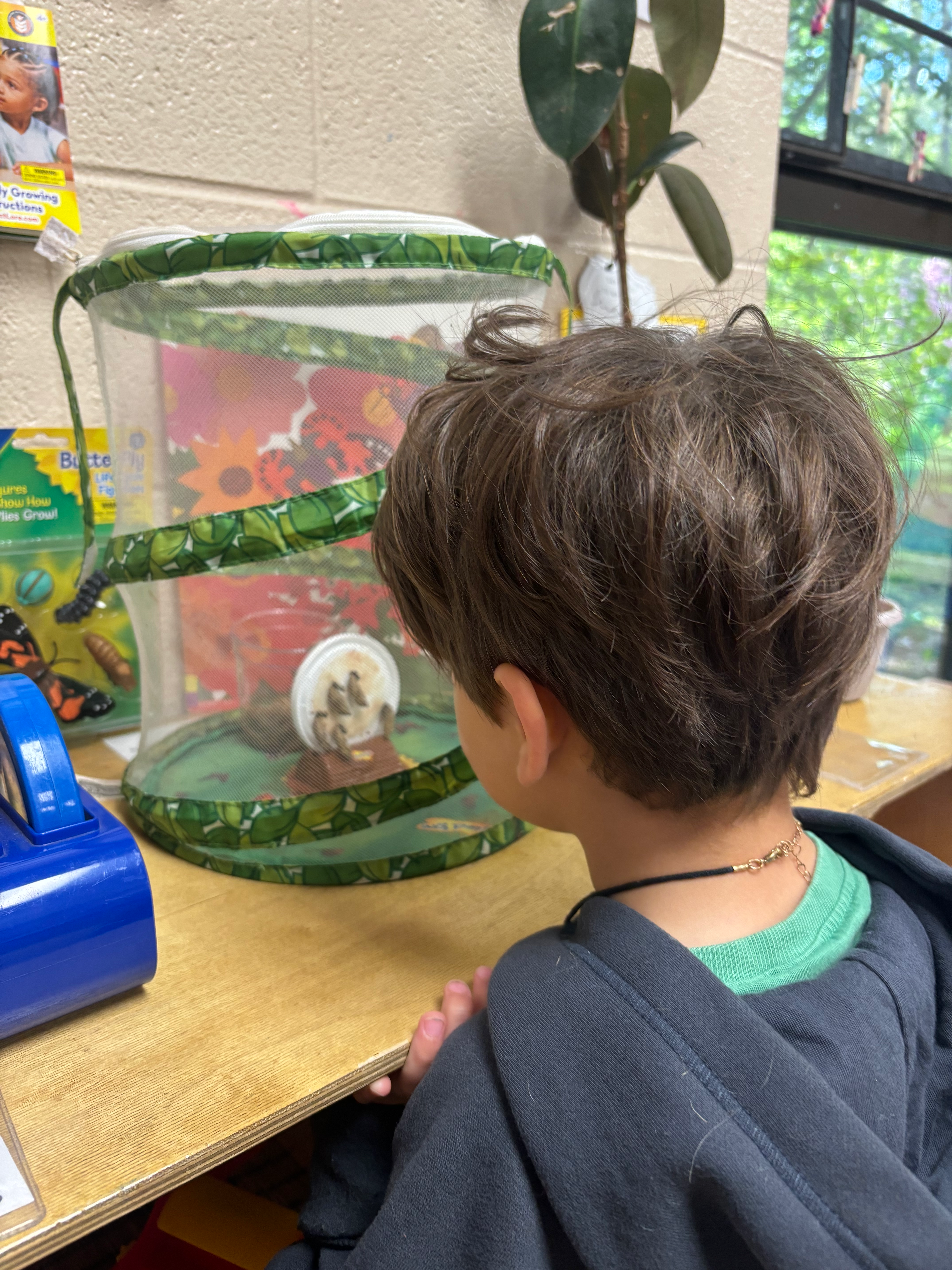 SOMERSET EARLY CHILDHOOD CTR's Photo