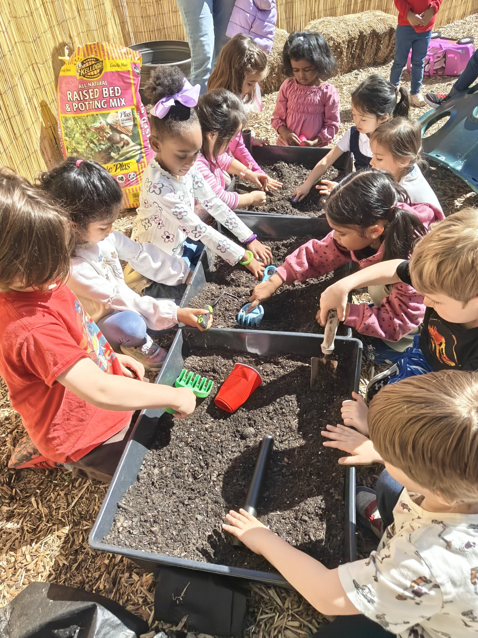 MONTESSORI CREATIVE LEARNING SCHOOL's Photo