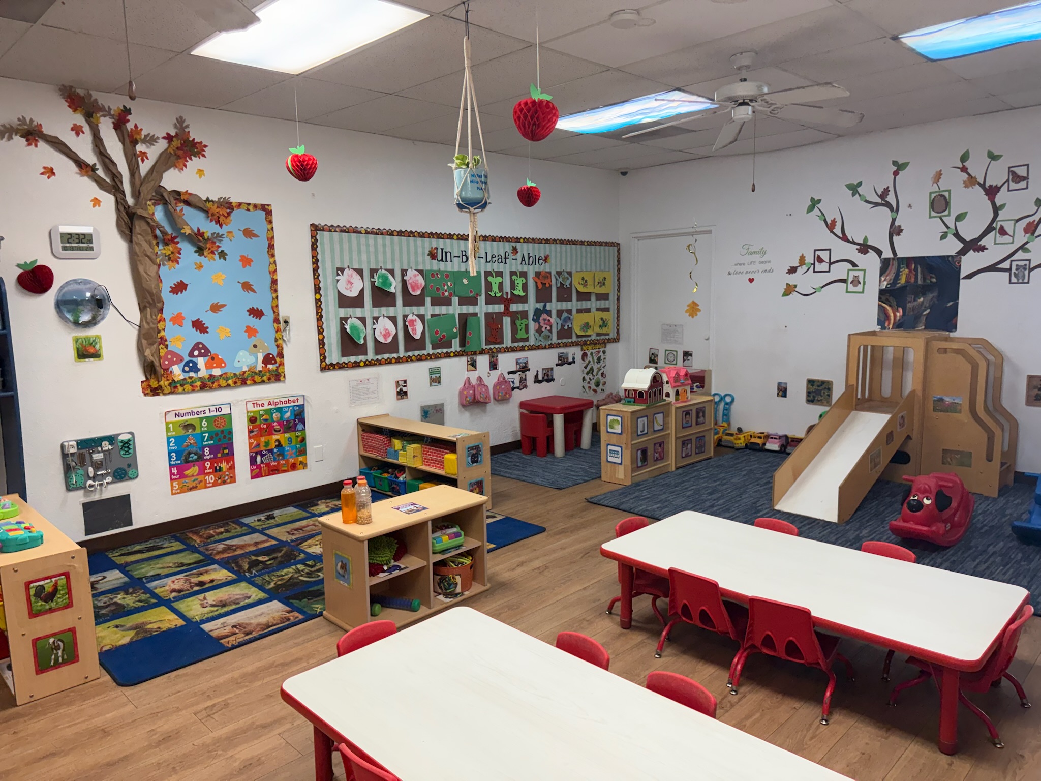 New Discoveries Preschool's Photo