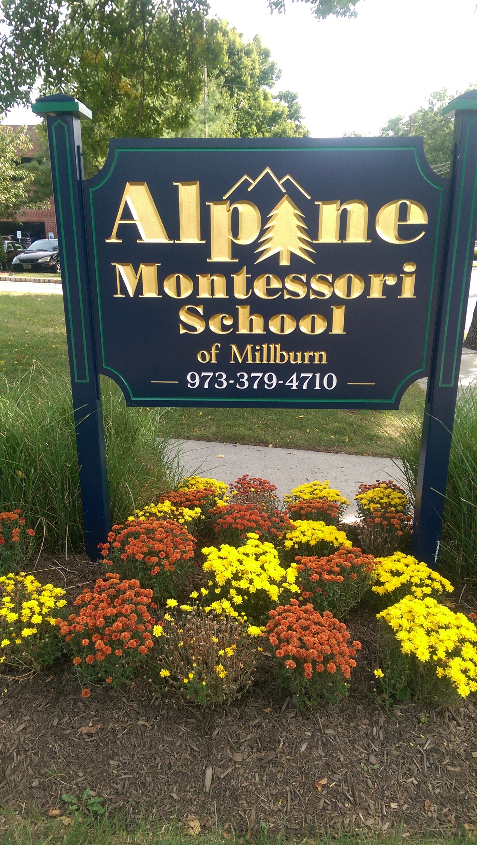 ALPINE MONTESSORI OF MILLBURN's Photo