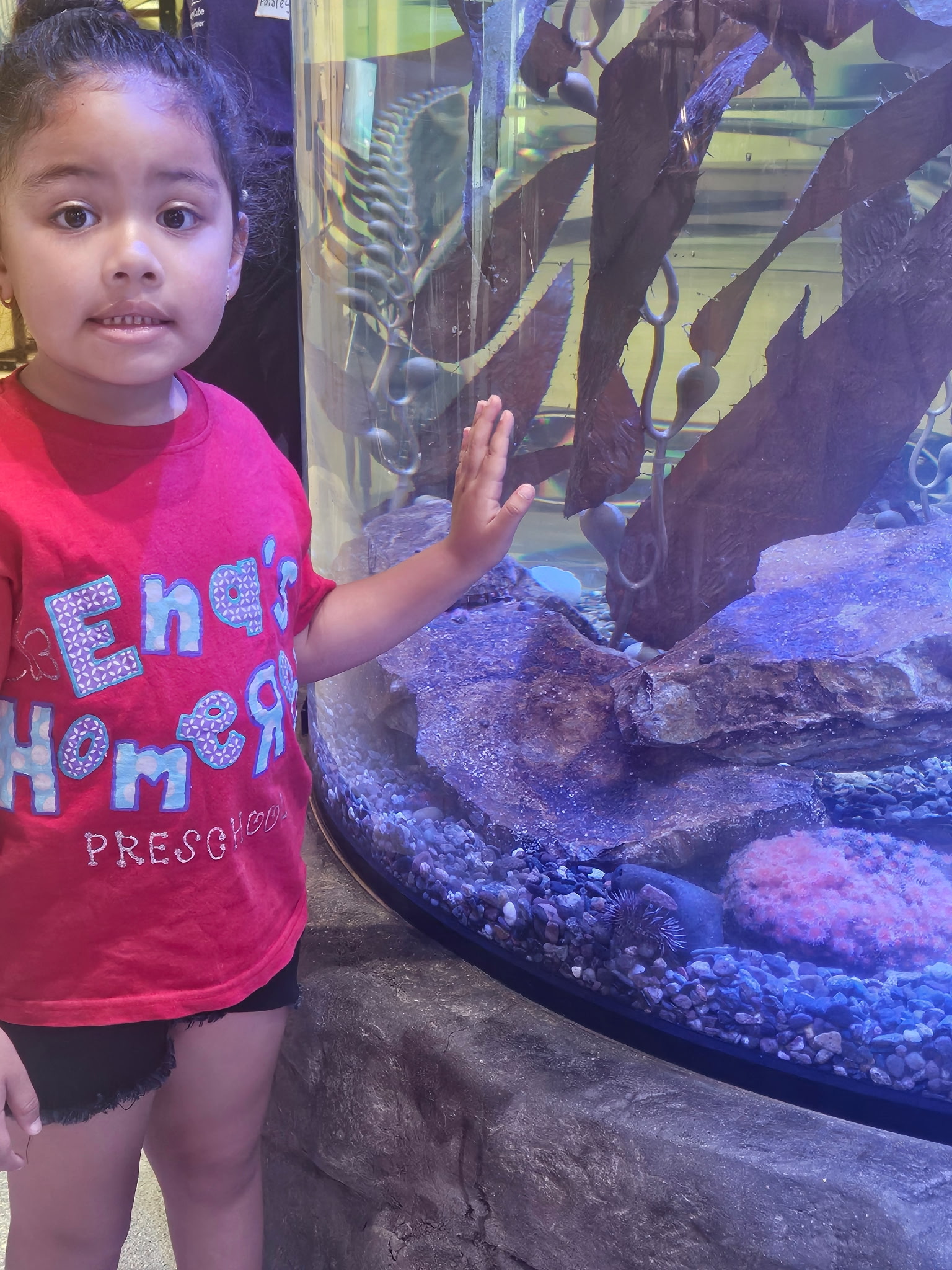 ENAS HOMEROOM STEWART FAMILY CHILD CARE