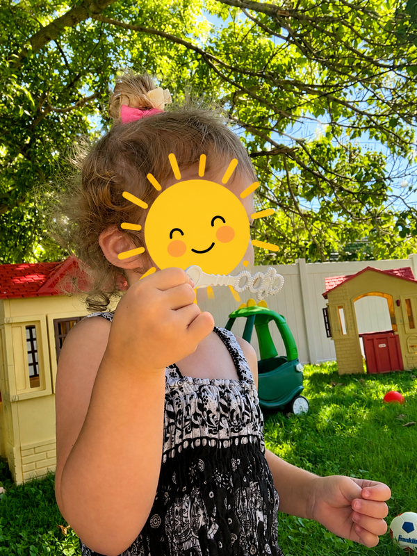 The Little Sunshine Academy