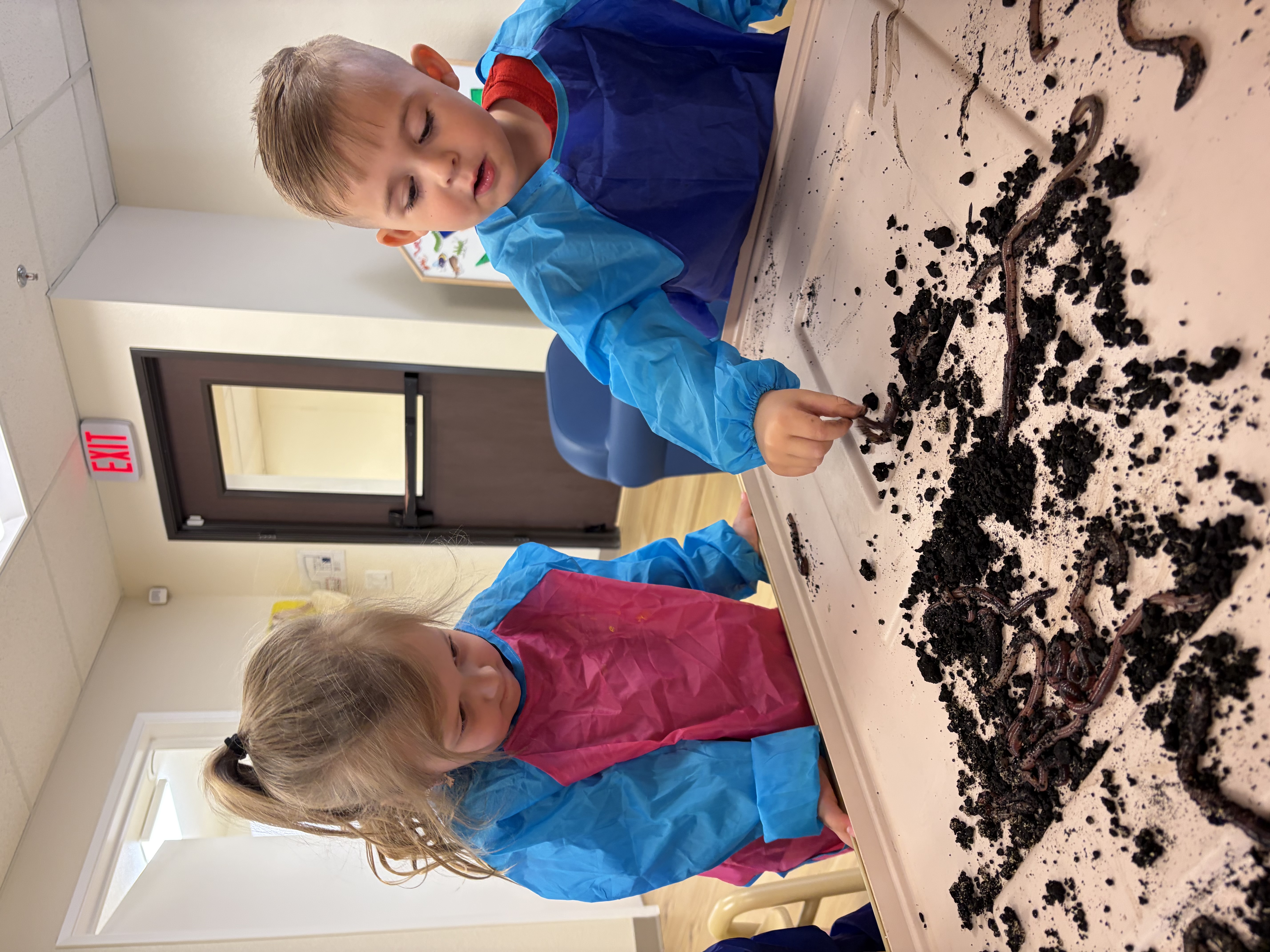 Meadow Kids Academy