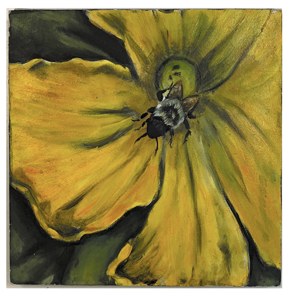 Photo gallery image - 0