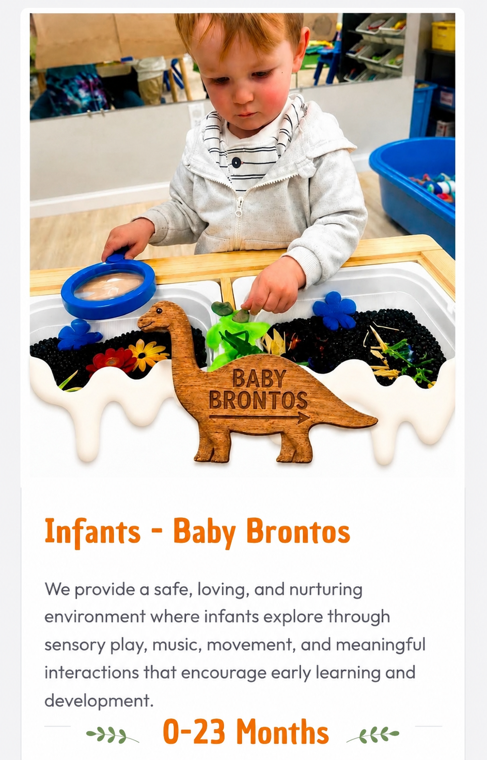 Alina's Munchkins LLC