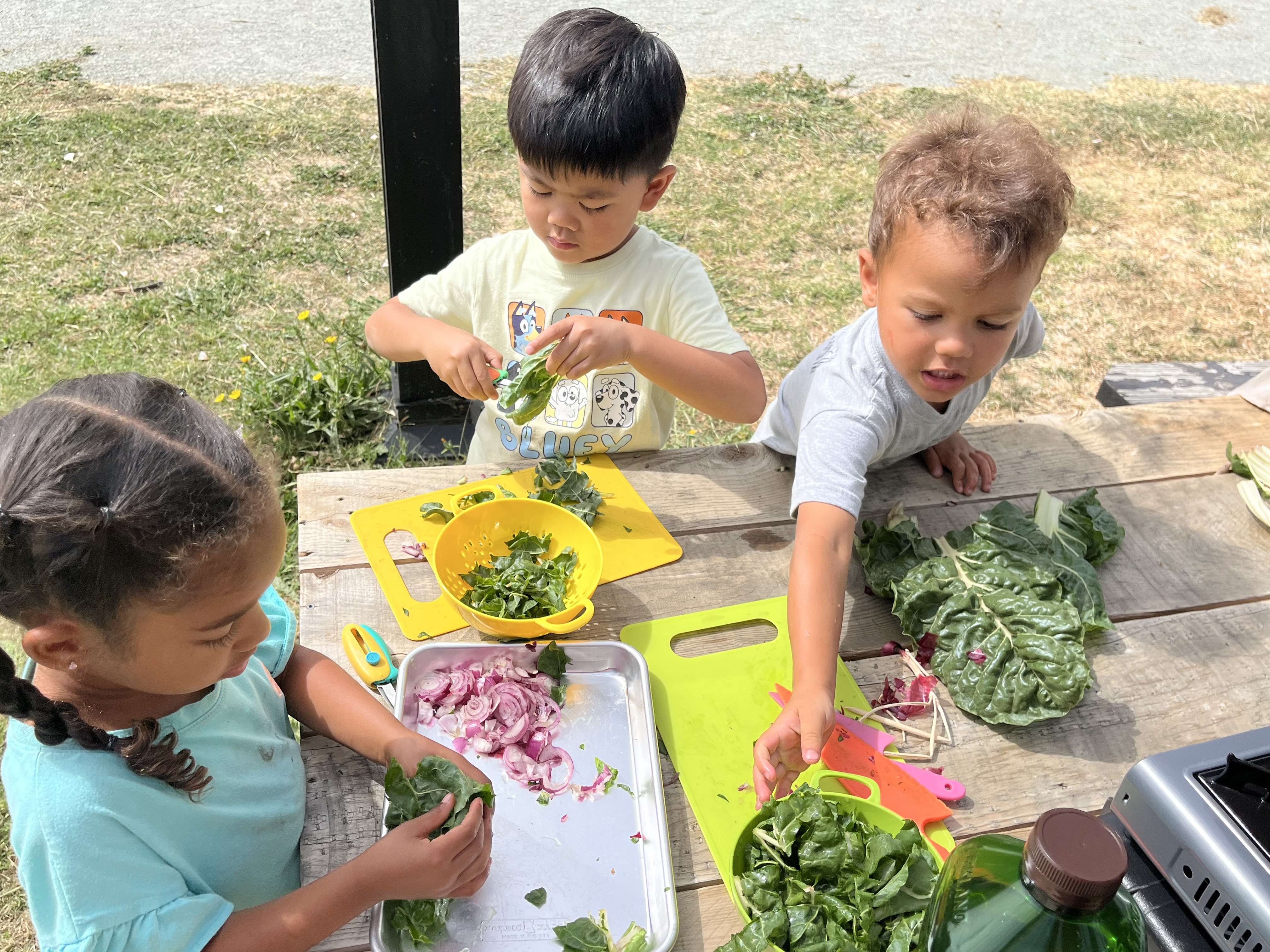 Tolenas Farm Academy's photo