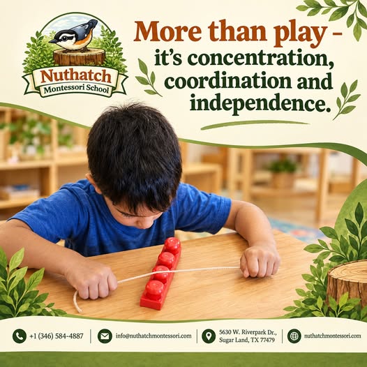 Nuthatch Montessori School's photo