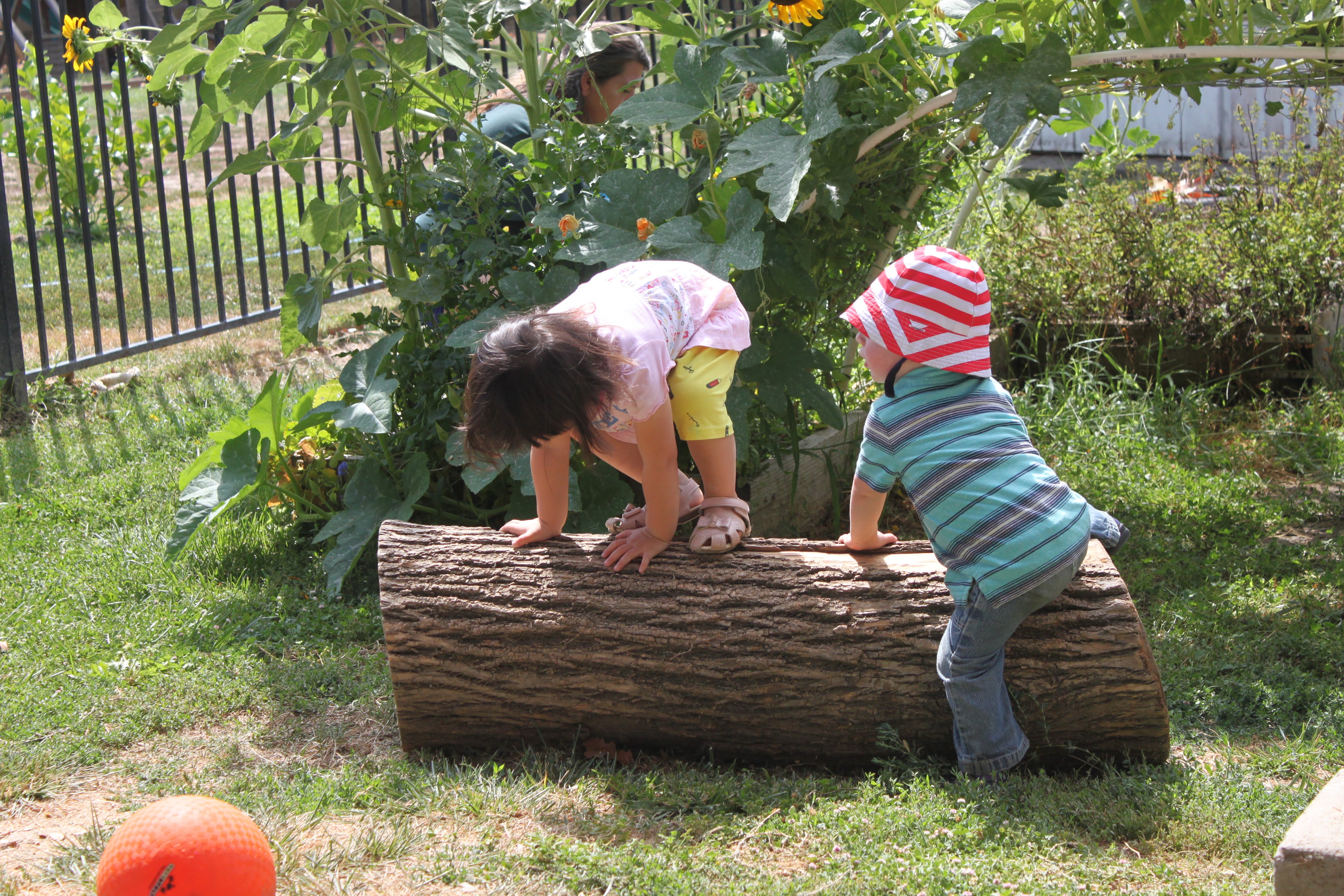 Peregrine Early Childhood Center's Photo