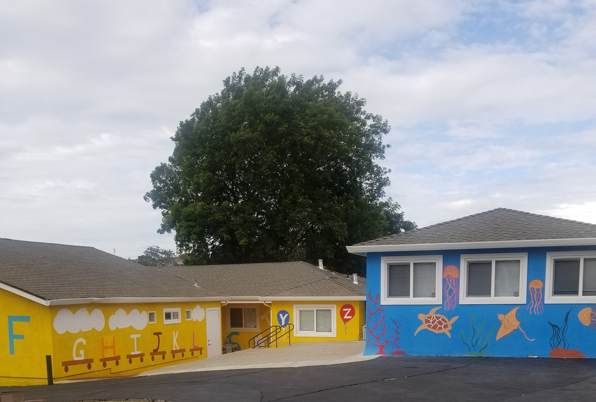 TULIP CHILD CARE LLC/PINOLE MONTESSORI's Photo