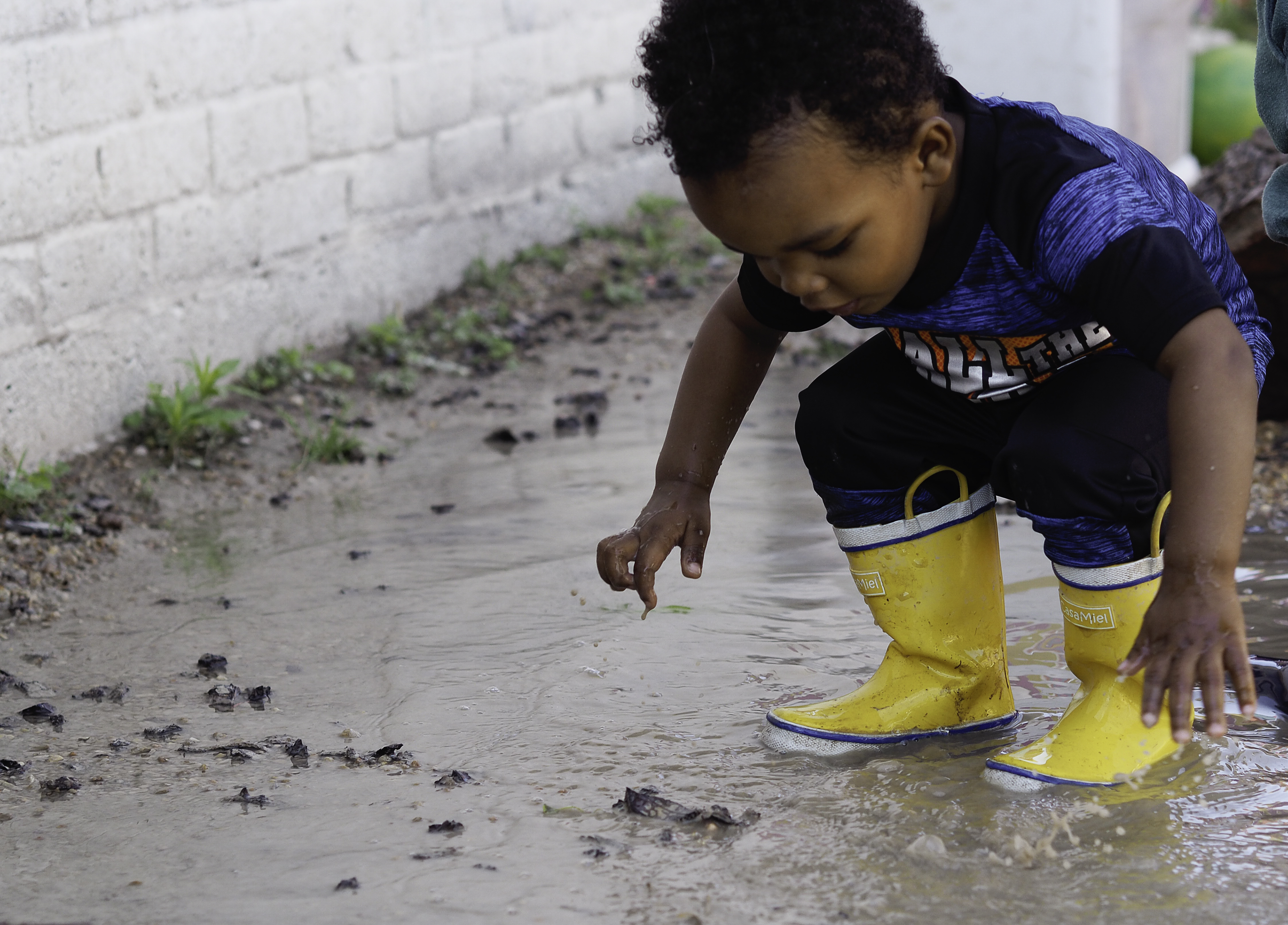 Firefly Community School's Photo